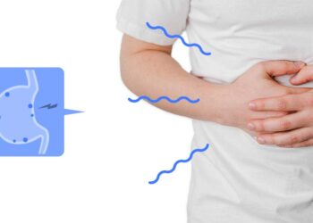 ប្រភេទអាហារ ដែលប៉ះពាល់ដល់សុខភាពក្រពះយ៉ាងធ្ងន់ធ្ងរ