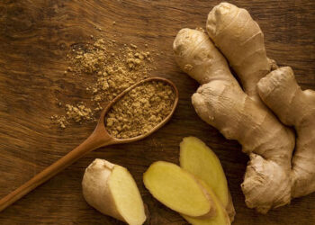 ខ្ញី មានឥទ្ធិពលយ៉ាងណាខ្លះចំពោះសុខភាព?