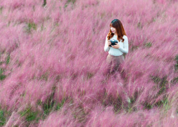 ៨ រូបភាព-ជាគោលដៅល្អឥតខ្ចោះនៅក្នុងប្រទេសកូរ៉េខាងត្បូងសម្រាប់អ្នកស្រឡាញ់ធម្មជាតិ