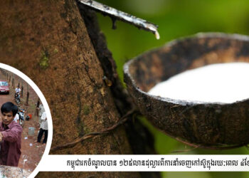 កម្ពុជារកចំណូលបាន ១២៥លានដុល្លារពីការនាំចេញកៅស៊ូក្នុងរយៈពេល ៤ខែដំបូងឆ្នាំនេះ