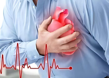 ចំណុចសំខាន់ៗដែលបណ្តាលឱ្យគាំងបេះដូង​រហូតដល់ស្លាប់