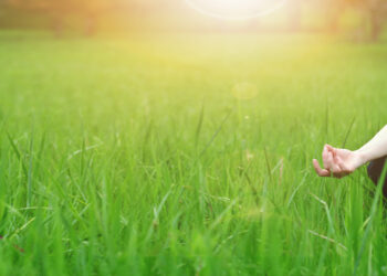 បង្កើនទំនាក់ទំនងជាមួយធម្មជាតិ សម្រាប់សុខភាពផ្លូវចិត្ត “Mental Health” របស់អ្នក!