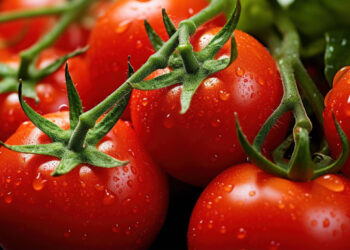 តិចអត់ដឹង? ប៉េងប៉ោះ មានអត្ថប្រយោជន៍ចំពោះសុខភាពច្រើនដល់ម្លឹង