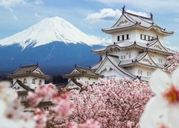 វេលាដែលផ្ការីកស្គុះស្គាយ បង្អួតភាពស្រស់ស្អាតនៅប្រទេសជប៉ុន មានឈ្មោះថា “រដូវផ្កាសាគូរ៉ា”