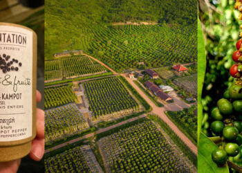 La Plantation ចម្ការម្រេចស្តង់ដារអន្តរជាតិ ដ៏ល្បីល្បាញ នៅក្នុងខេត្តកំពត