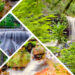 សម្រស់ធម្មជាតិ រមណីយដ្ឋាន ទឹកធ្លាក់តាដាសច្ចំ គួរជាទីចាប់អារម្មណ៍សម្រាប់ភ្ញៀវទេសចរ