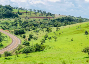 “មណ្ឌលគីរី” ជាដែនដីព្រៃប្រឹក្សា និងជម្រកធម្មជាតិដ៏ស្រស់ត្រកាល – ប្រទេសកម្ពុជា