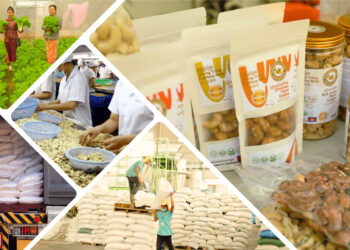 ARDB បានផ្តល់ឥណទាន ៤៤០ដុល្លារដល់វិស័យកសិកម្ម ដើម្បីជំរុញការផលិត និងកែច្នៃ