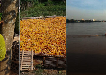 រំសាយអារម្មណ៍ មកដើរលេងនៅទឹកដី កោះប៉ែន ស្រូបយកខ្យល់អាកាសបរិសុទ្ធ ធម្មជាតិពិតៗ