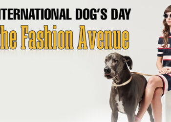 The Fashion Avenue បានត្រឡប់មកវិញ សម្រាប់ “ទិវាសុនខ (សត្វឆ្កែ) អន្តរជាតិ”