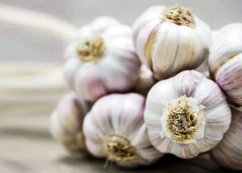 ចូលចិត្តញ៉ាំខ្ទឹមស? គួរយល់ដឹងអំពីគុណសម្បត្តិនៃអាហារមួយនេះ