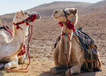 ប្លែក! ចាប់យកបទពិសោធន៍នៃការស្នាក់នៅ សណ្ឋាគារលើវាលខ្សាច់ដ៏ធំល្វឹងល្វើយ