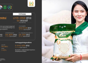 កម្ពុជាបាននាំចេញអង្ករជាង ៤១ម៉ឺនតោន ដែលទទួលចំណូល ៣០៥លានដុល្លារ ត្រឹមរយៈពេល ៨ខែ ឆ្នាំនេះ