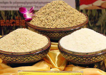 កម្ពុជានាំចេញអង្ករជាង៥៧ម៉ឺនតោន ដោយទទួលបានទឹកប្រាក់ជាង៤១៣លានដុល្លារ ក្នុងរយៈពេល១១ខែនៃឆ្នាំ២០២៤