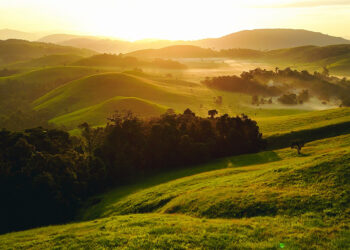 ទេសភាពវាលធំ នៃឧទ្យានជាតិវីរៈជ័យ ប្រទេសកម្ពុជា