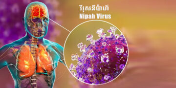 ក្រសួងសុខាភិបាល ចេញសេចក្តីប្រកាសព័ត៌មានស្តីពីការការពារខ្លួនពីការឆ្លងវីរុសនីប៉ាហ៍ (Nipah Virus)
