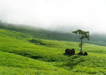 វិចារណកថា៖ គោលដៅលម្ហែបៃតង និងអត្ថប្រយោជន៍ចំពោះសហគមន៍មូលដ្ឋាន