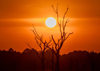 សម្រស់ដ៏ស្រស់ត្រកាលនៃព្រះអាទិត្យរៀបលិចនៅ “ប្រាសាទនាគព័ន្ធ”