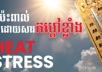ការយល់ដឹង និងការគ្រប់គ្រងភាពតានតឹង បណ្តាលមកពីផលប៉ះពាល់បង្កដោយកម្តៅថ្ងៃ
