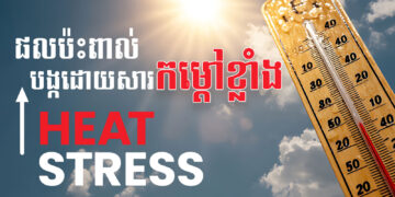 ការយល់ដឹង និងការគ្រប់គ្រងភាពតានតឹង បណ្តាលមកពីផលប៉ះពាល់បង្កដោយកម្តៅថ្ងៃ